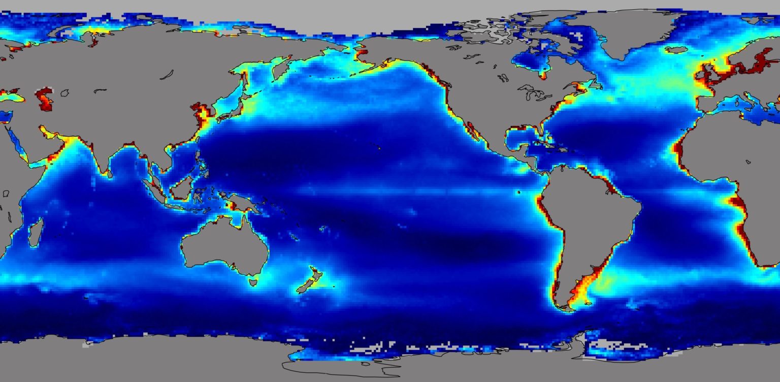 Oceaan ecologie: Mariene ecologie - Vistikhetmaar