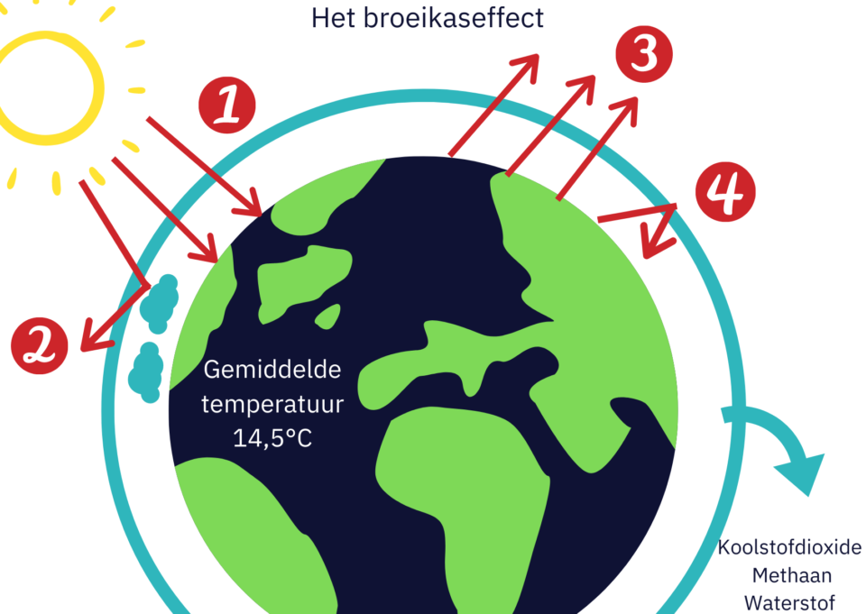 Milieu - Vistikhetmaar - milieu en menselijke activiteiten